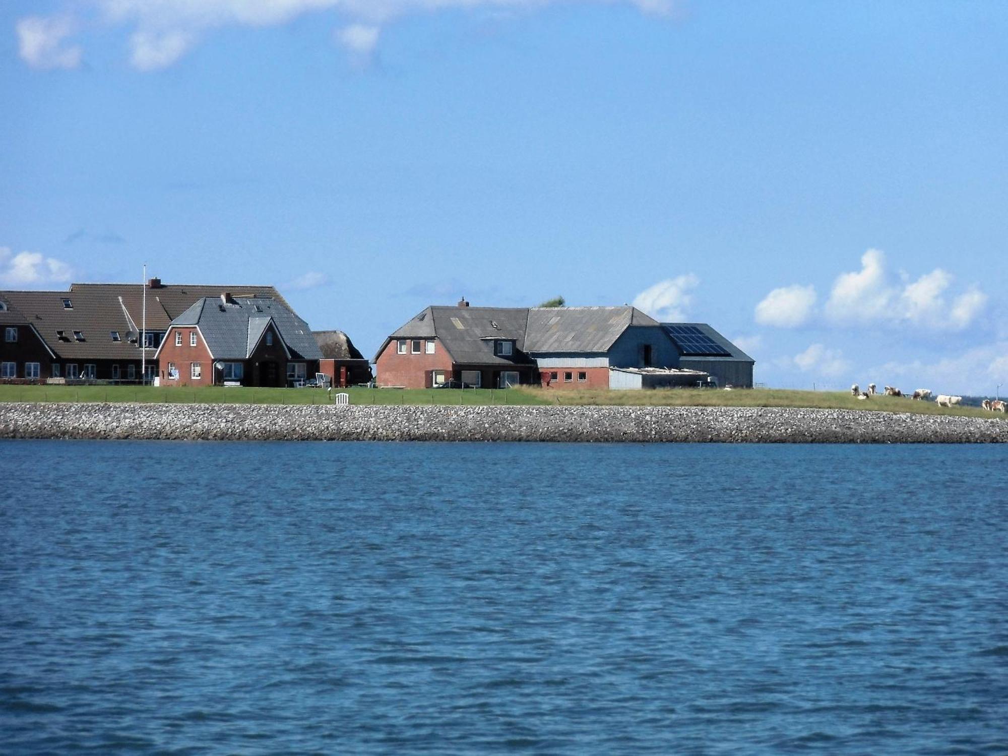 Haus Halligblick, Ferienwohnungen Am Wattenmeer, Whg Hamburger Hallig Dagebüll Kültér fotó